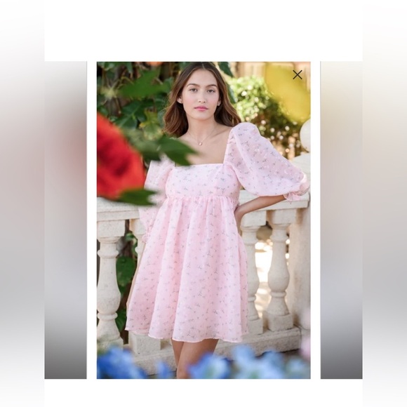 Altar’s State pink floral dress - Picture 3 of 5